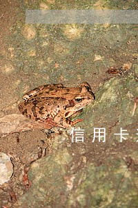 信用卡逾期 经侦传唤 信用卡逾期 经侦传唤